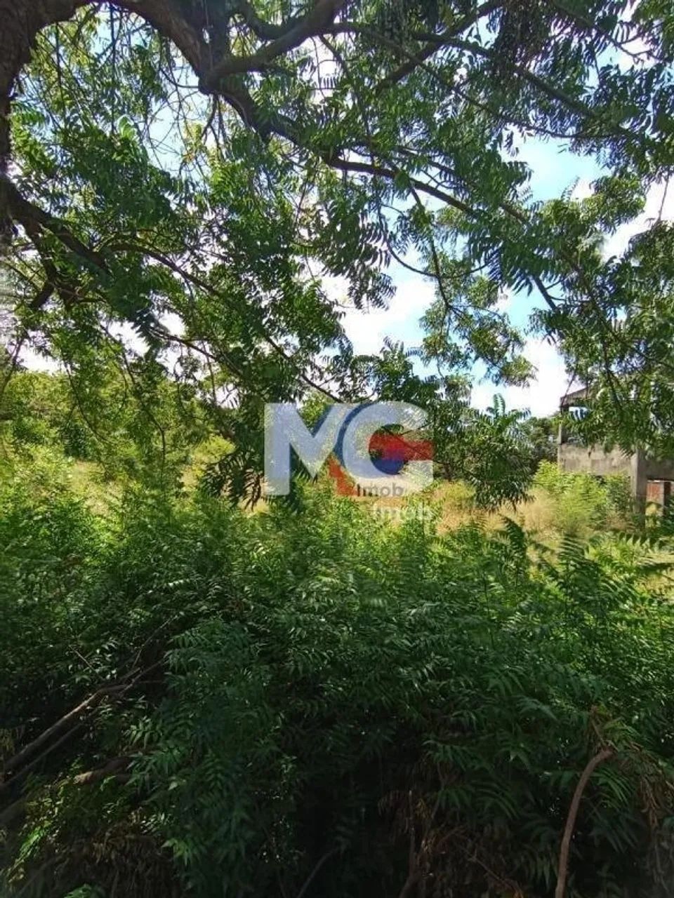 Terreno Residencial em Edson Queiroz - Foto 2