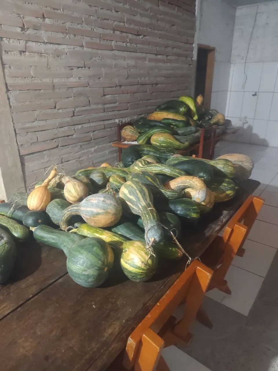 Abóboras para doces - Foto 2