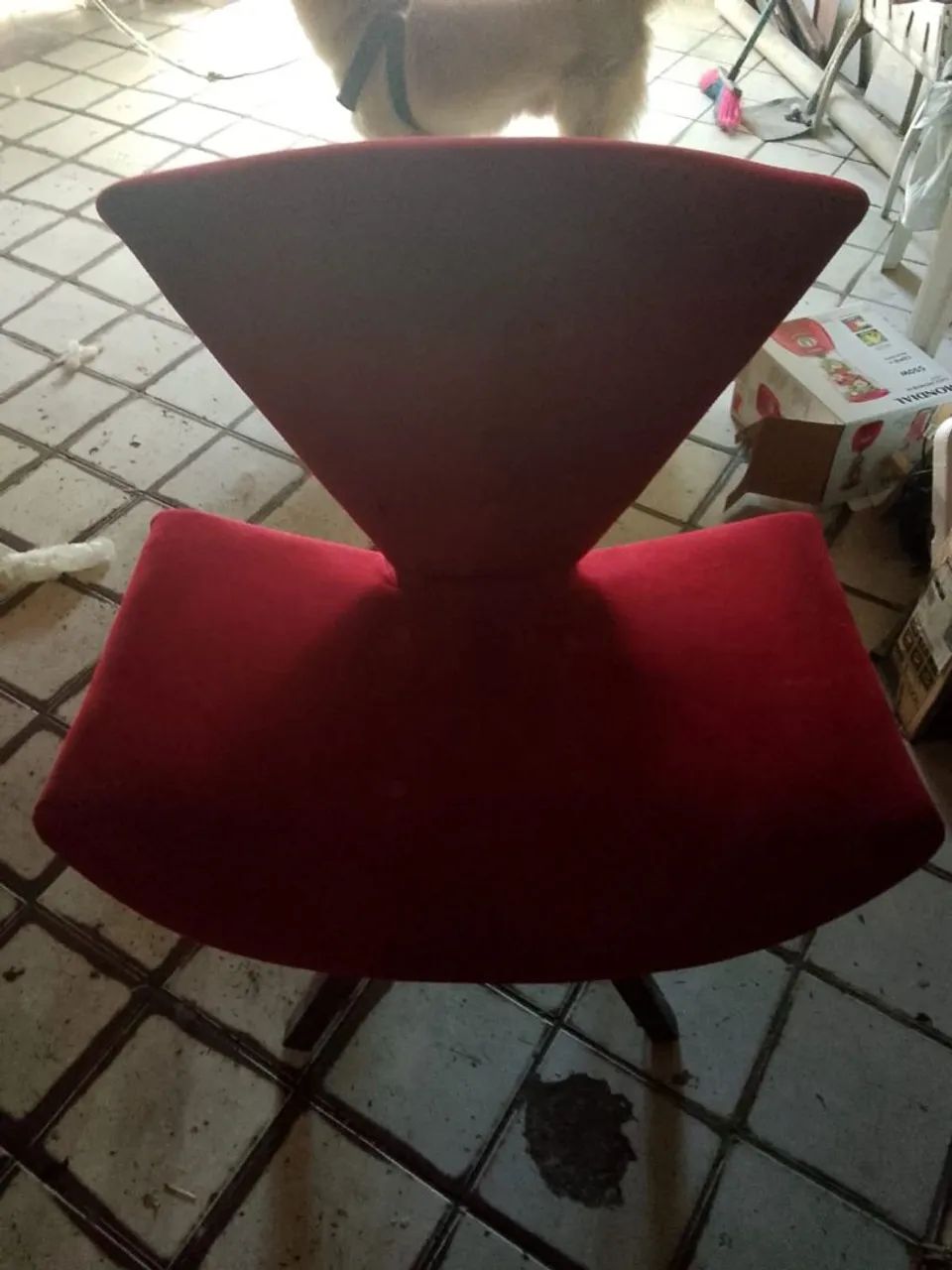 Vendo pegue e monte - Foto 4
