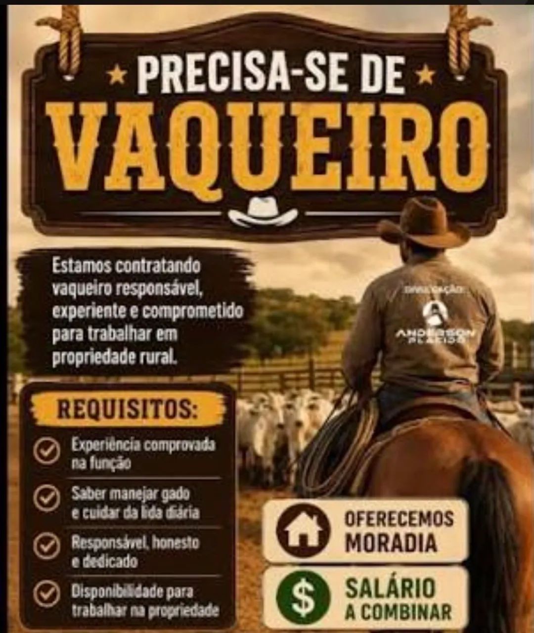 Procuro vaqueiro 