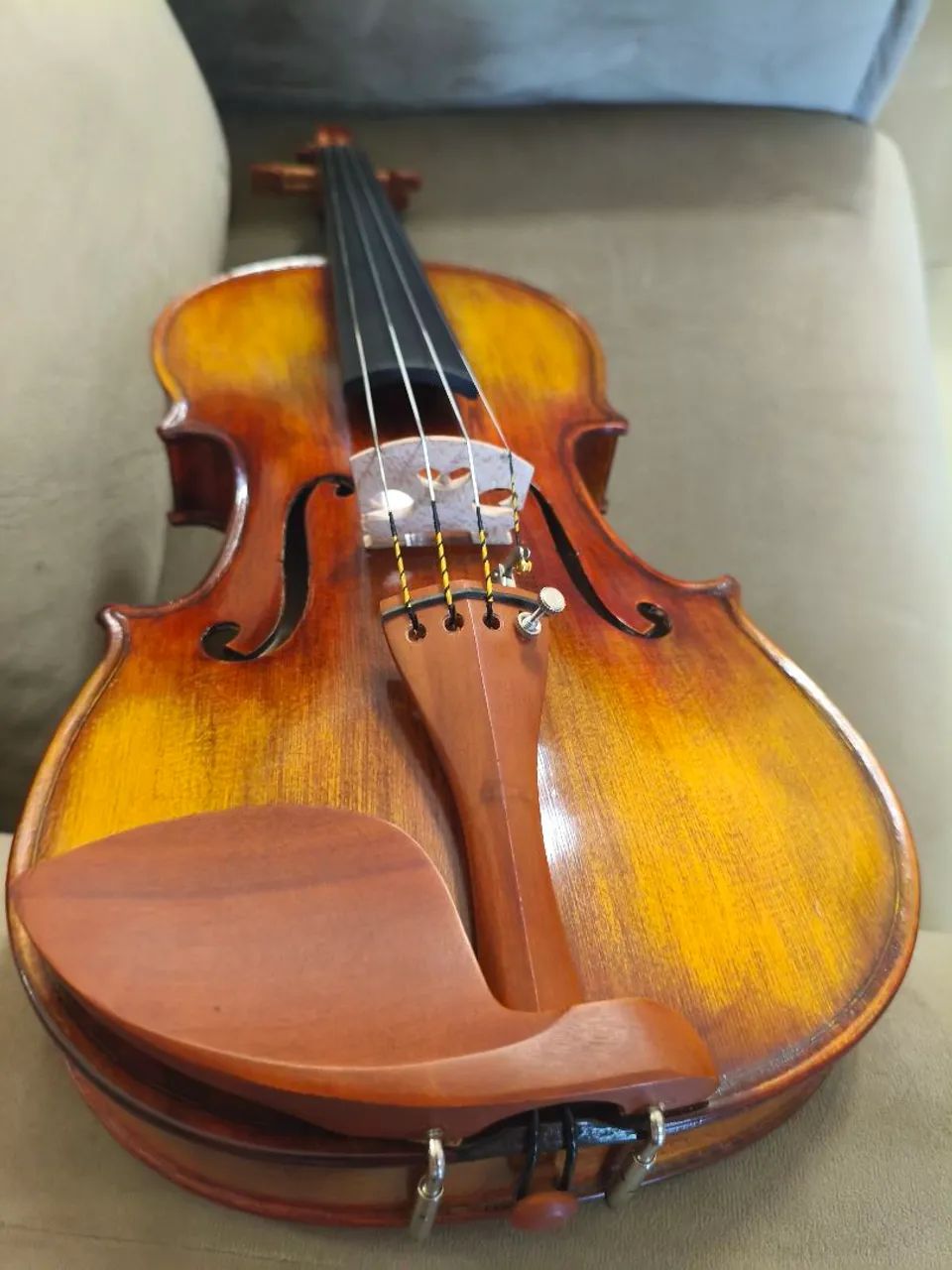 Violino