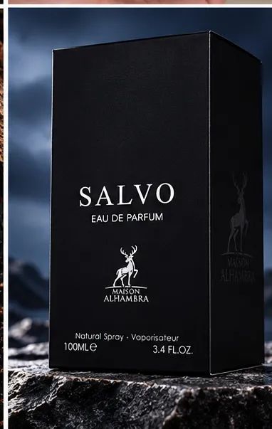 Salvo - Foto 4