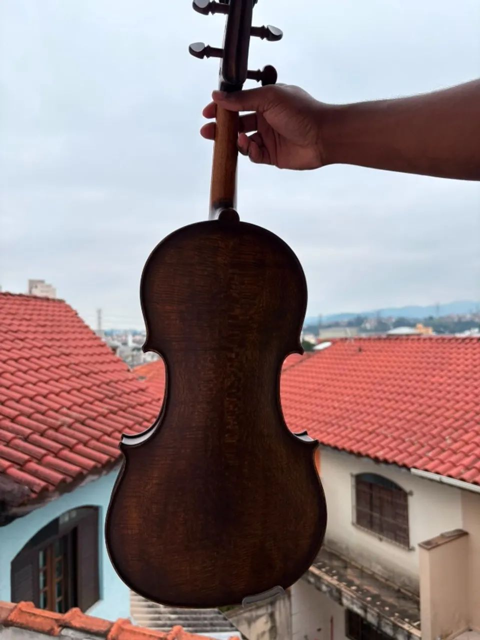 Viola de arco (Viola erudita) - Foto 5