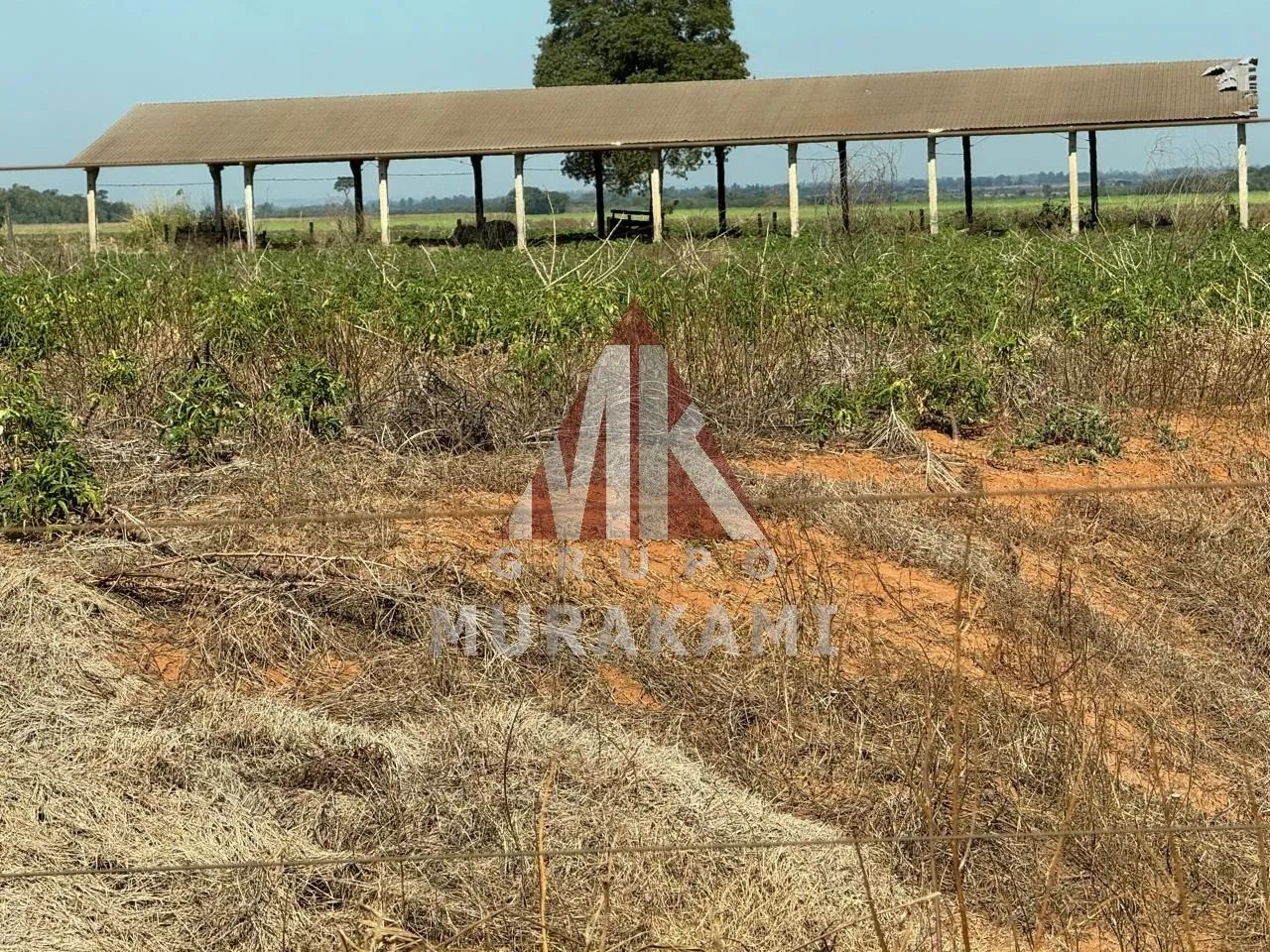 FAZENDA - QUERÊNCIA DO NORTE - Foto 3