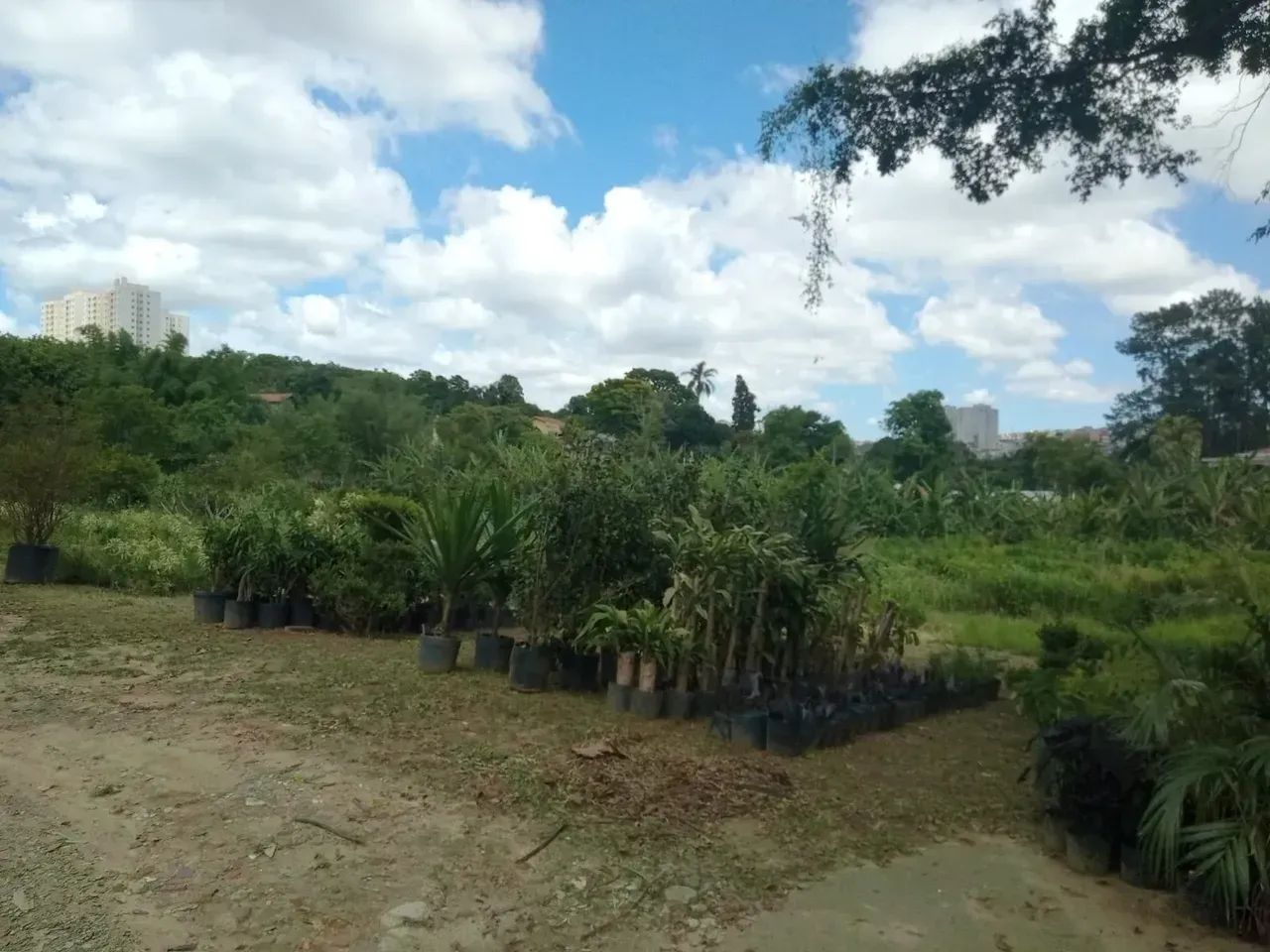 Terreno à venda em Poá - Foto 4