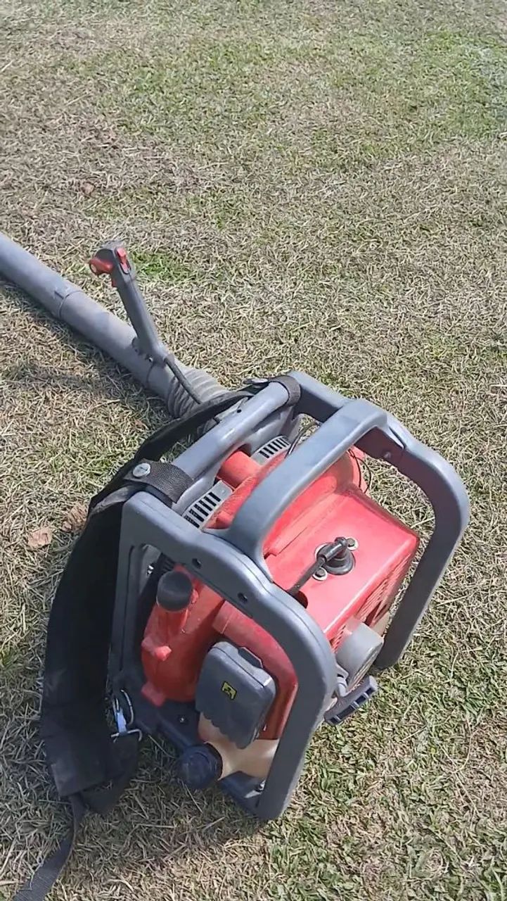 Soprador de Folhas 65138000645121123