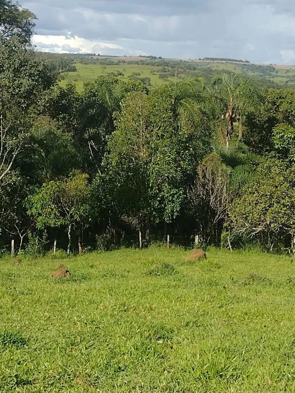 *OFERTA RANCHO EM CORUMBÁ-GO* - Foto 5