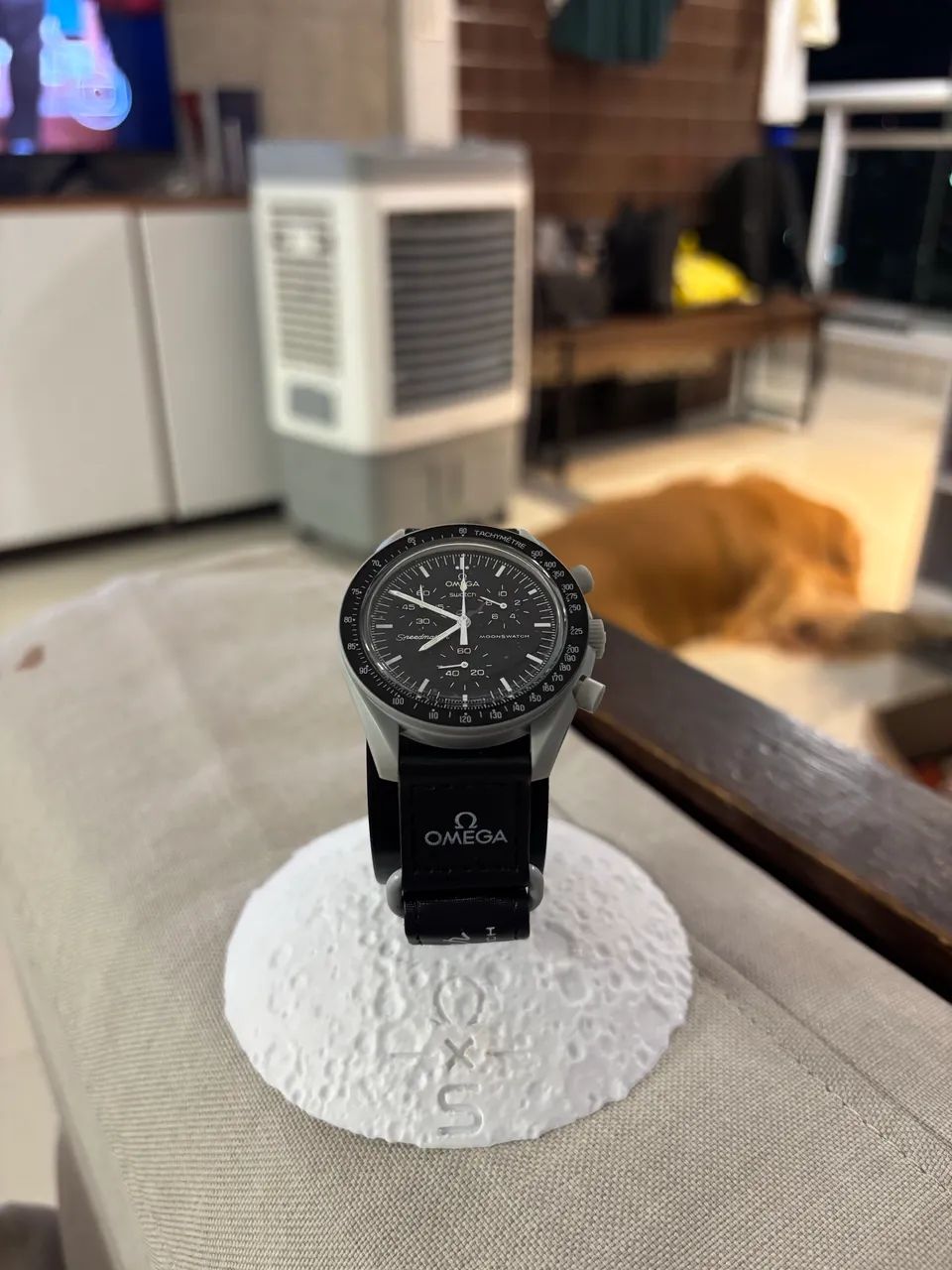 Omega Swatch 1:1