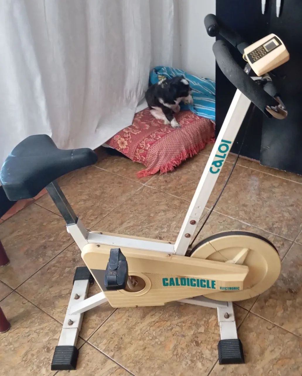 Bicicleta ginástica - Foto 2
