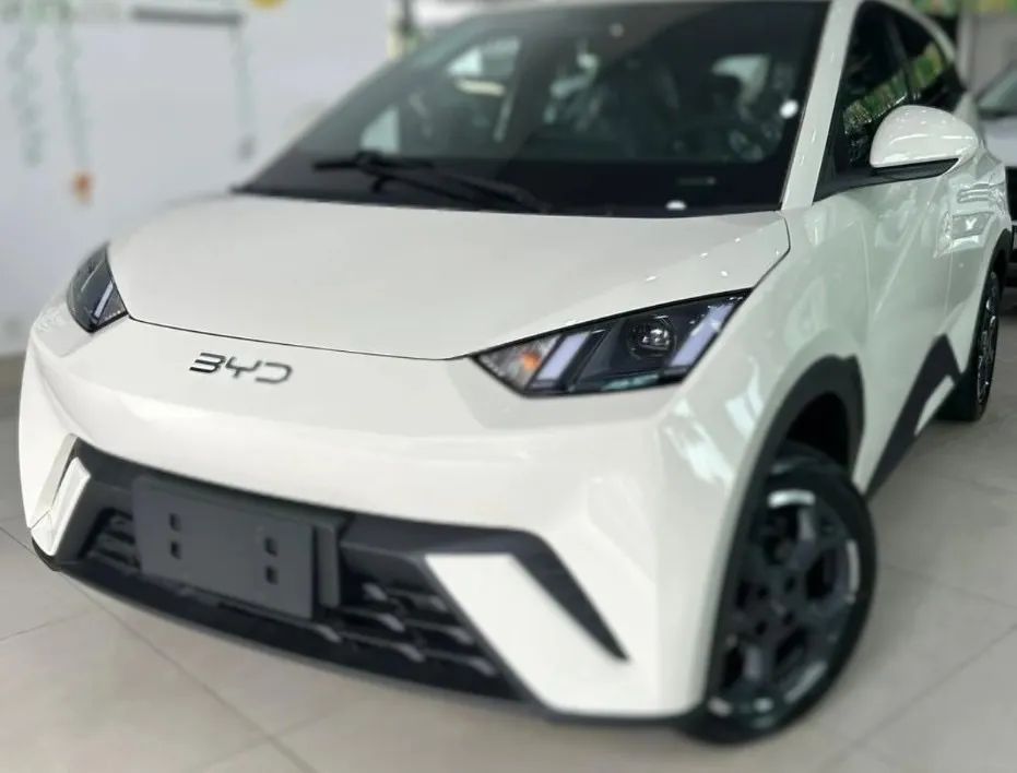 BYD Dolphin Mini (Elétrico) 2027