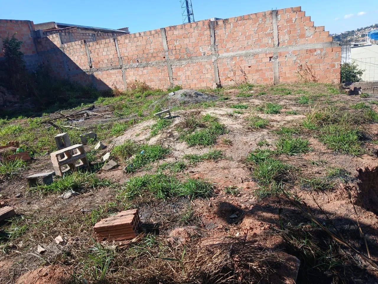 VENDO LOTE SERVILHA 2°SESSÃO  - Foto 3