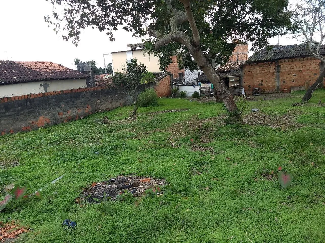 Vendo terreno - Foto 2