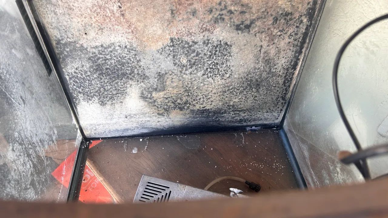 Aquário Bow Front ~90 Litros - Completo - Foto 3