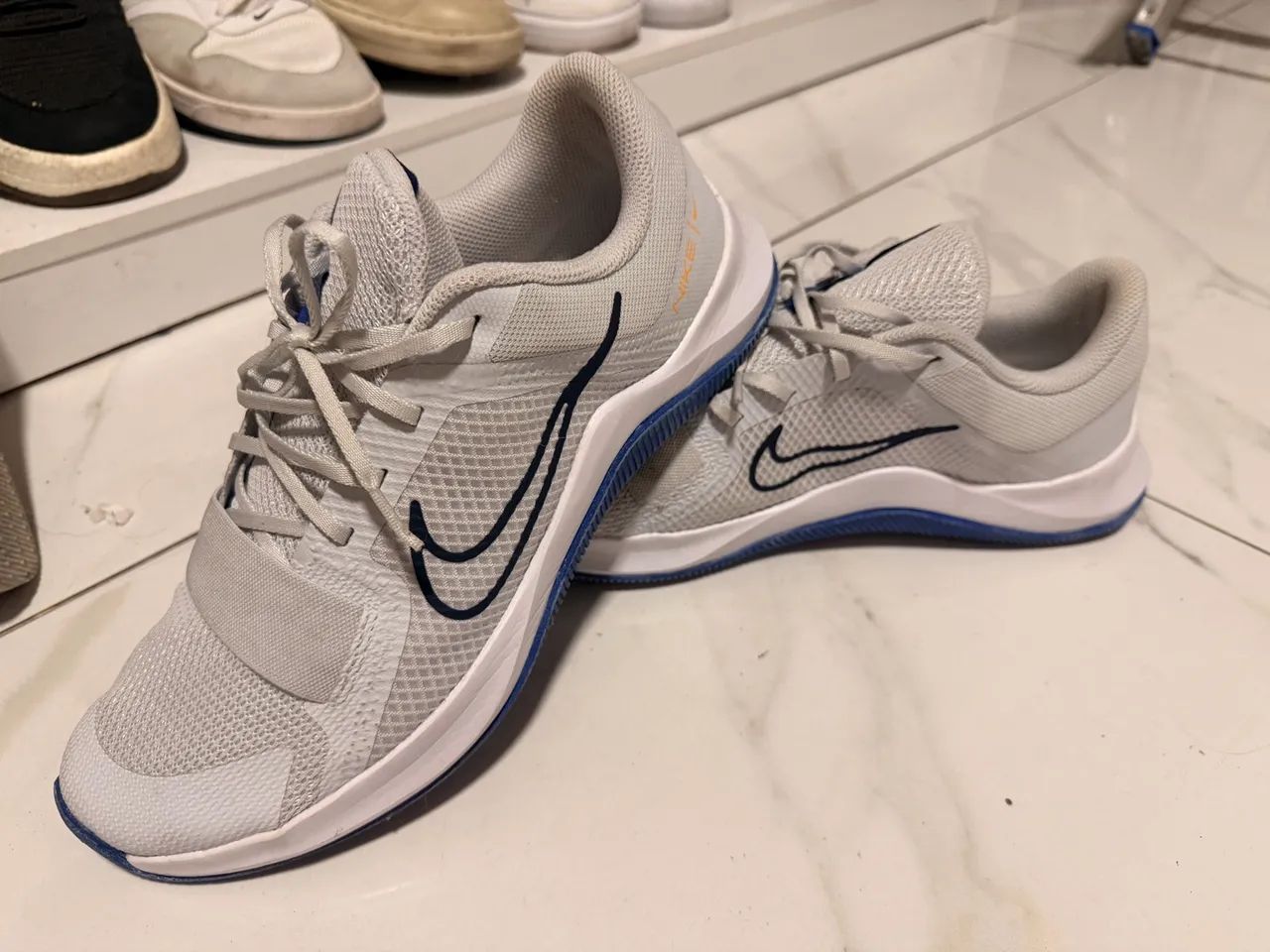 Nike Trainee 2 