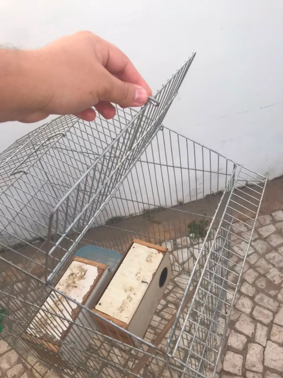Gaiola - Foto 2
