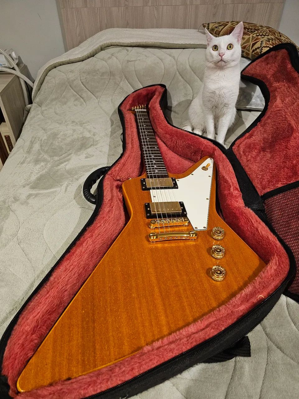 Epiphone 1958 Korina Explorer MiK '00 - Foto 3
