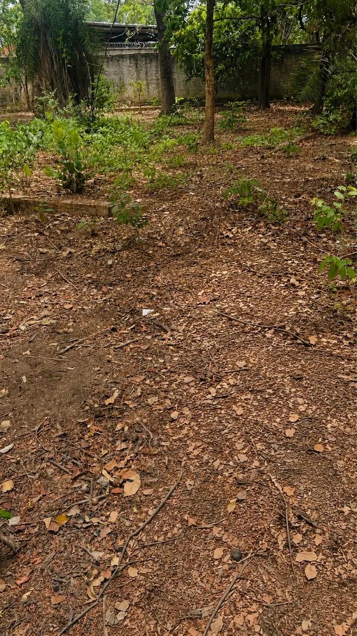LOTE ARUANÃ JARDIM PAULISTA - Foto 2