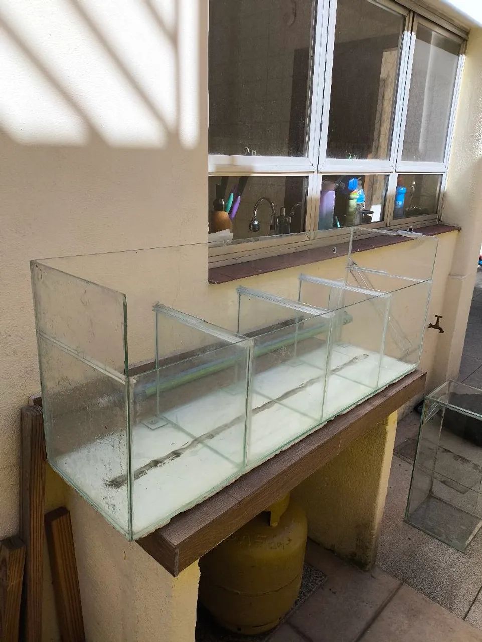 aquario - Foto 2