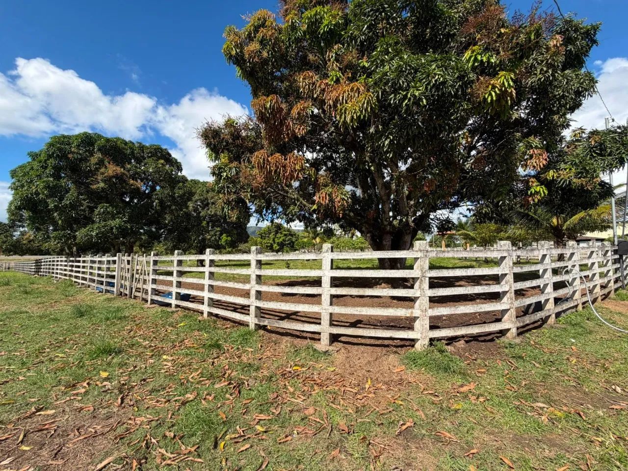 VENDE-SE CHÁCARA  ITABAIANA/SE - Foto 4