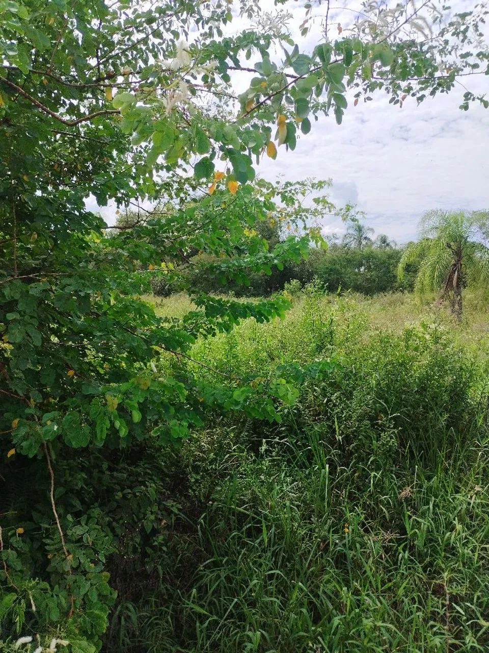TERRENO EM PERUÍBE PRONTO PARA CONSTRUIR - Foto 4