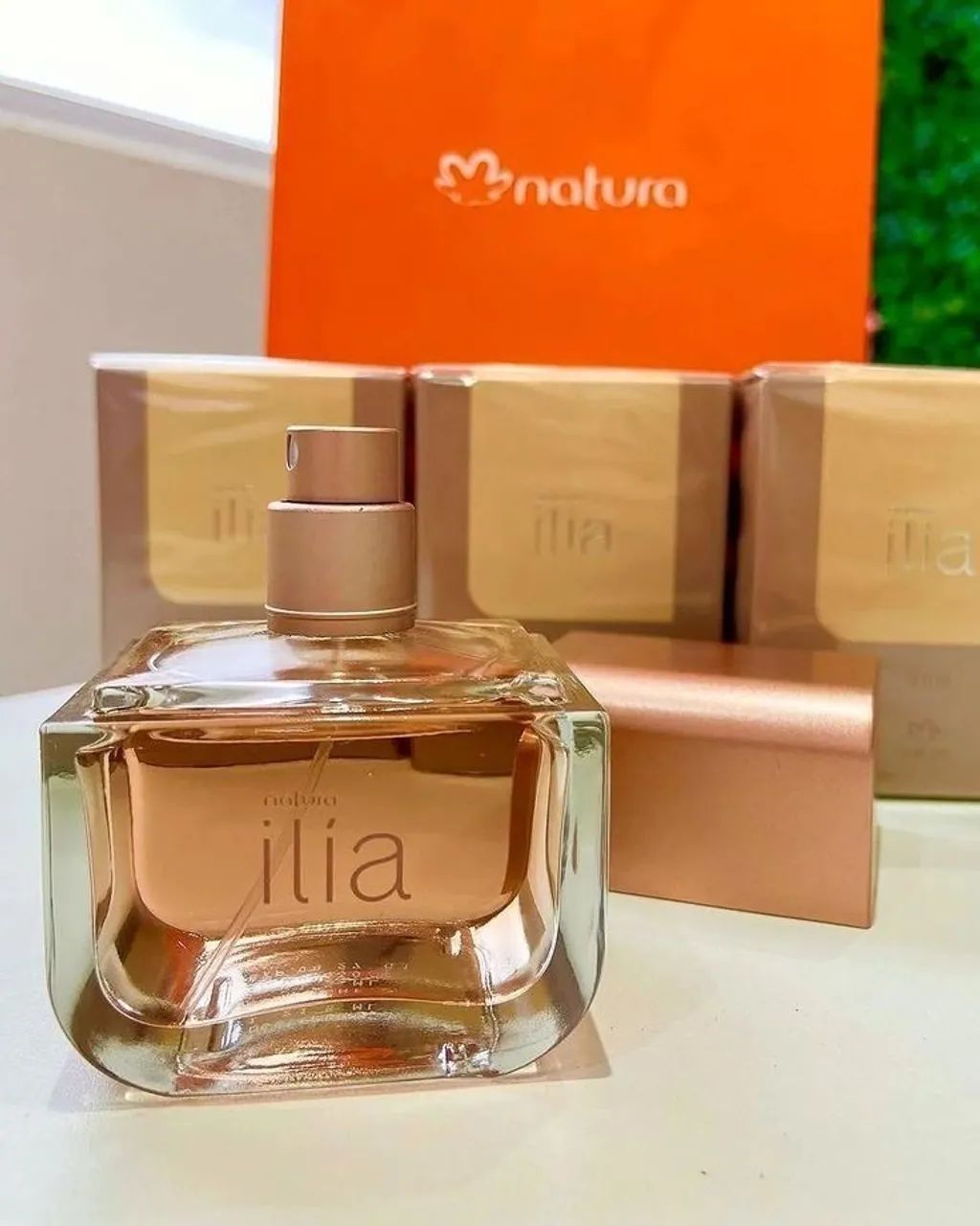Ilía clássico natura 