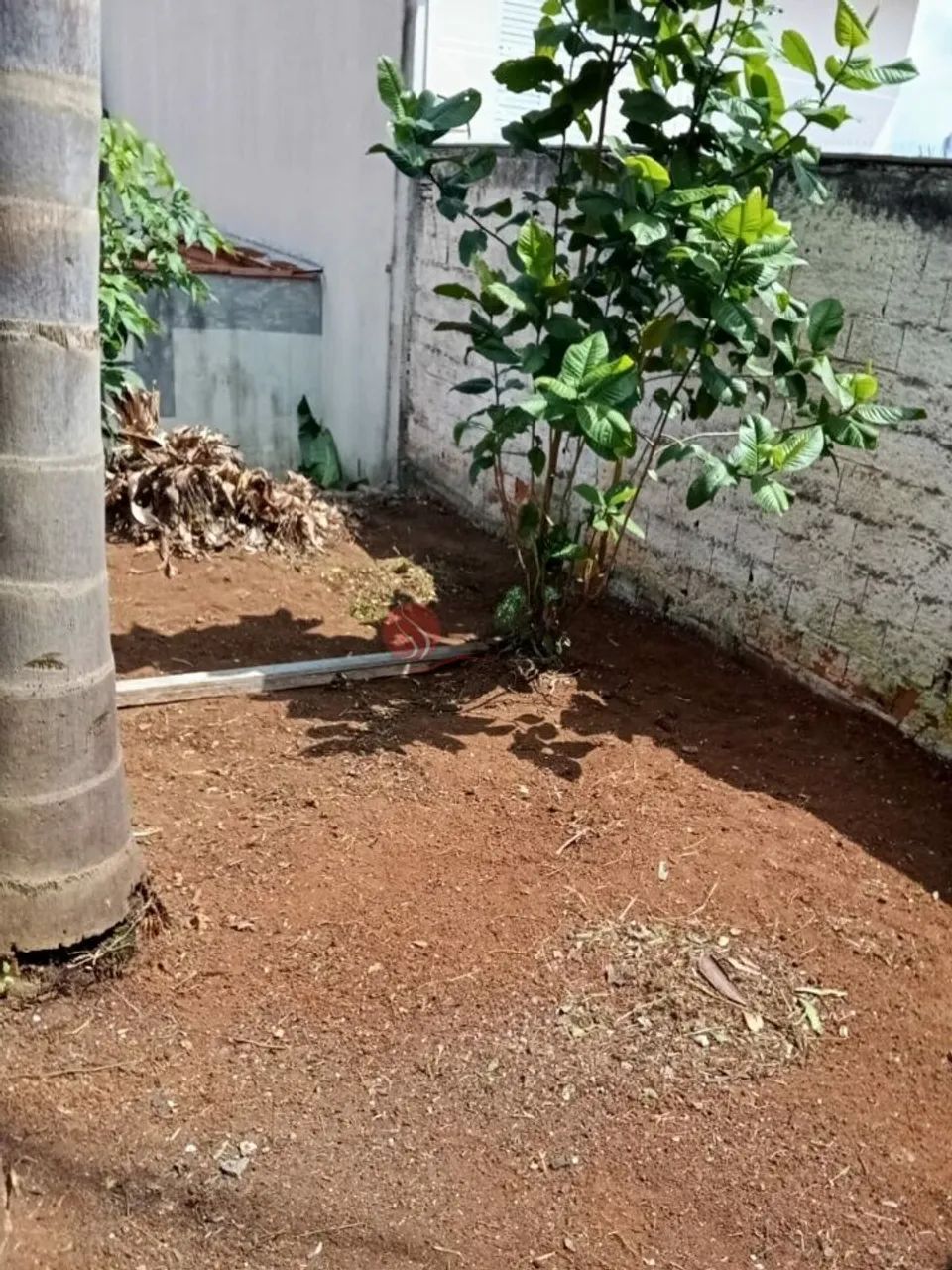 Terreno com casa 320 m² à venda na Vila Diva. - Foto 4