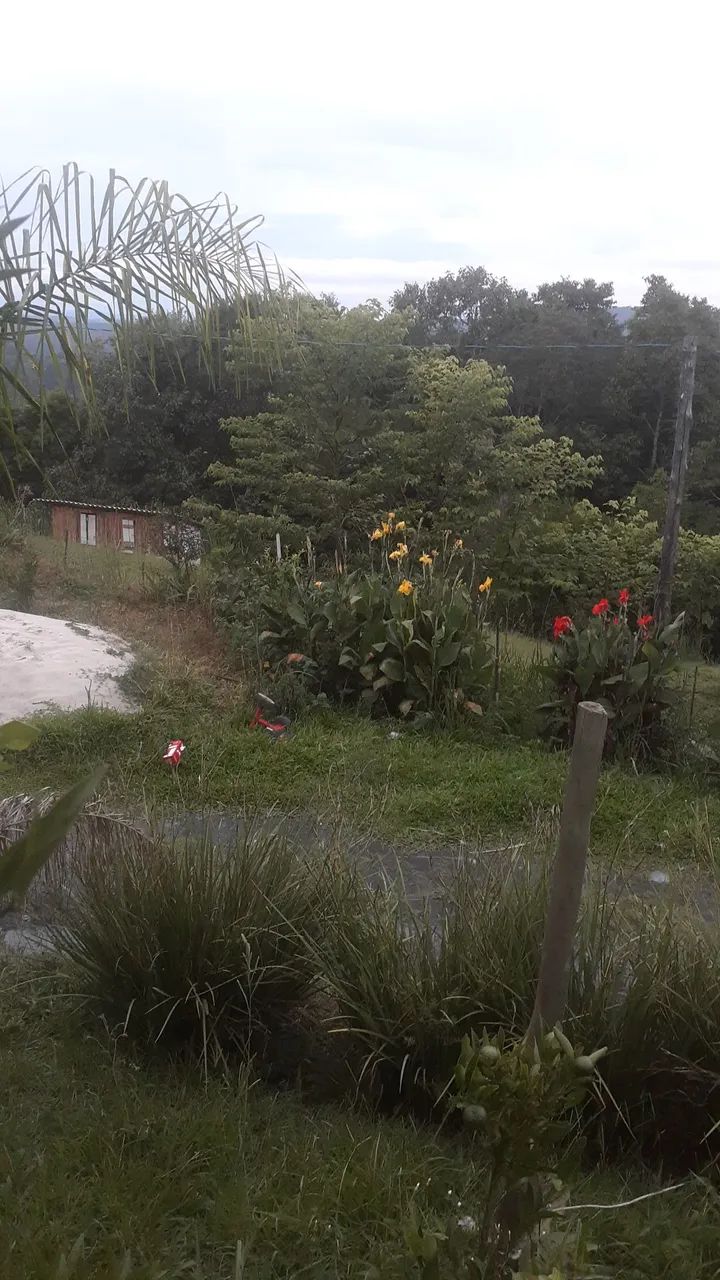 Sítio próximo à cidade  - Foto 3