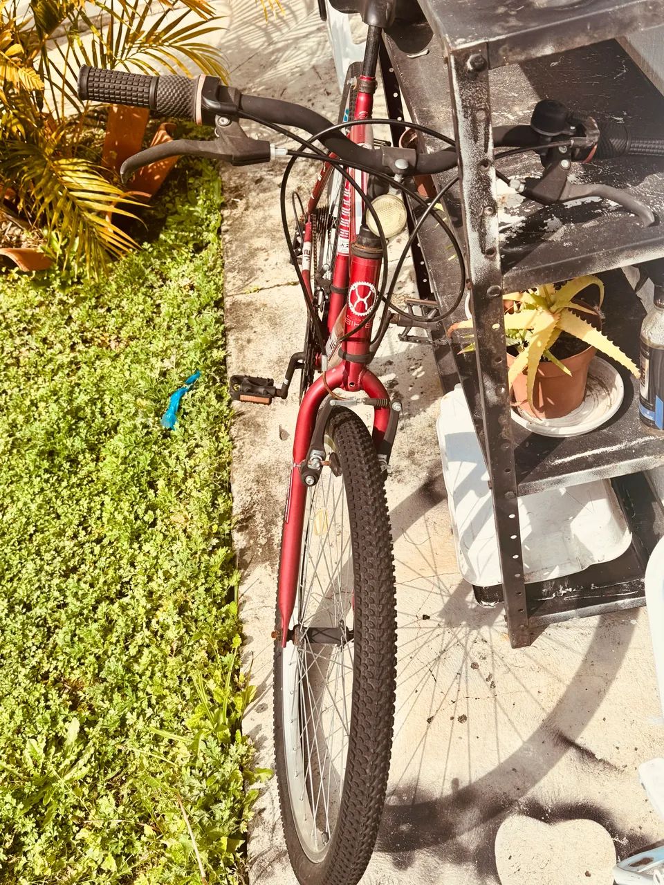 Bicicleta