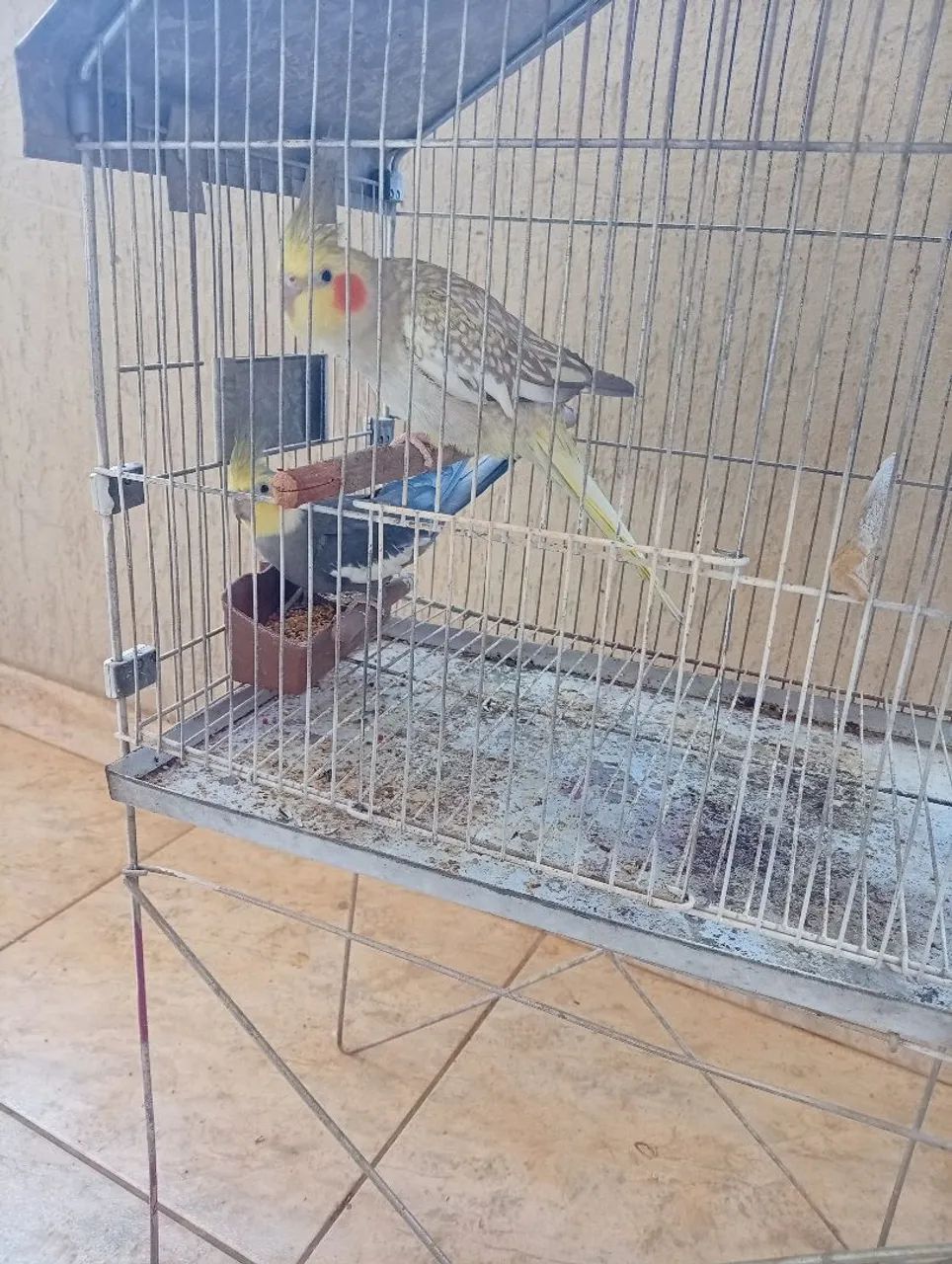 Vendo gaiola pra calopsita  - Foto 4