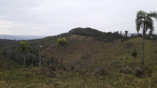 Fazenda com 663 alqueires em campo largo - Foto 5