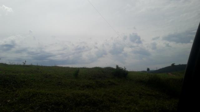 Fazenda com 663 alqueires em campo largo - Foto 7