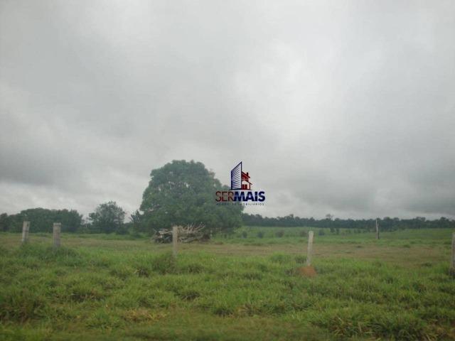 Fazenda Localizada na cidade de Buritis-RO
