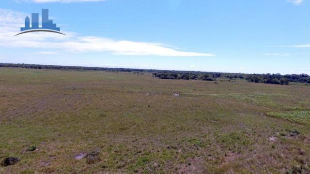 FAZENDA PARA GADO DE 14.950 HECTARES NA REGIÃO DE POCONÉ-MT - Foto 13