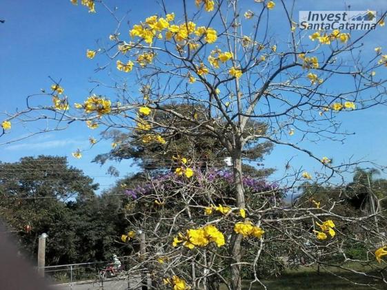 Linda pousada em Garopaba, 6 casas de 1 e 2 dormitórios, área de 12.000 m², arborizada. - Foto 3