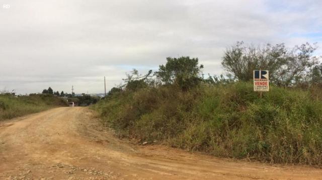 Terreno para venda em barra velha, itajuba - Foto 5