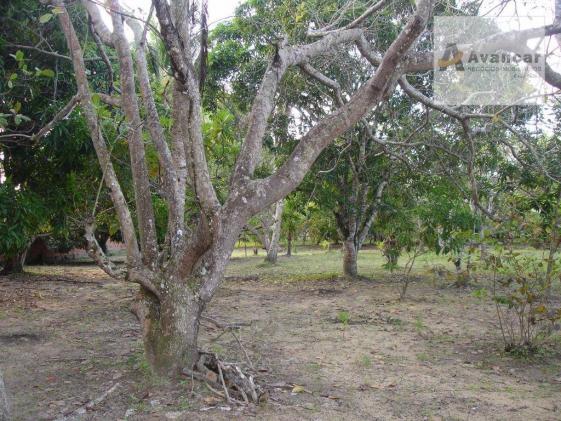 Chácara com 3 dormitórios à venda, 20000 m² por R$ 500.000,00 - Carne de Vaca - Goiana/PE - Foto 11