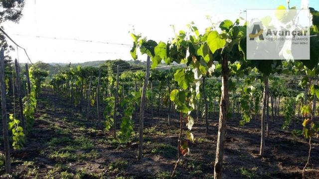Rancho residencial à venda, Zona Rural, Gravatá. - Foto 18