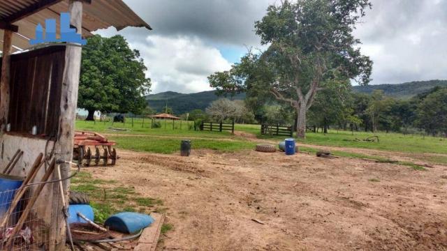 FAZENDA DE GADO DE CORTE COM 1.800 HECTARES EM BARRA DOS BUGRES - Foto 9