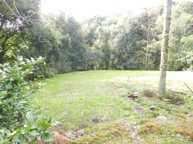 Belíssima área retirada do centro de Gramado com Hotel - Foto 16