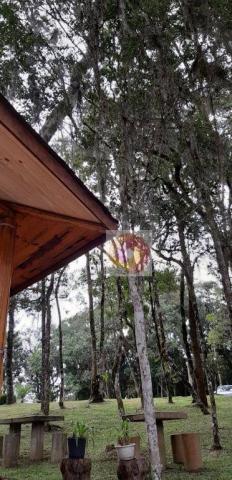 Chácara à venda, 10000 m² por R$ 650.000 - Zona Rural - Fazenda Rio Grande/PR - Foto 14