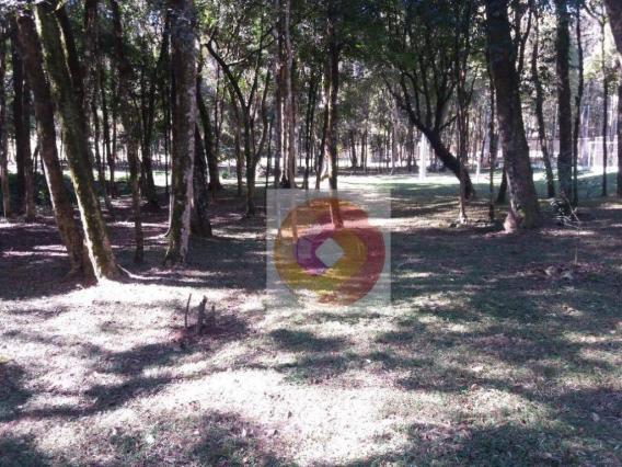 Chácara à venda, 10000 m² por R$ 650.000 - Zona Rural - Fazenda Rio Grande/PR - Foto 5