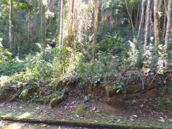 Terreno Teresópolis - Foto 13