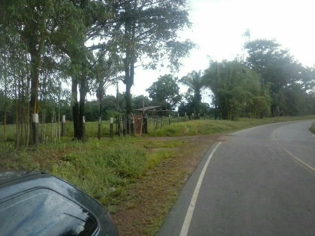 Fazenda 1.370hectares 110km Belém do Pará documentado - Foto 5