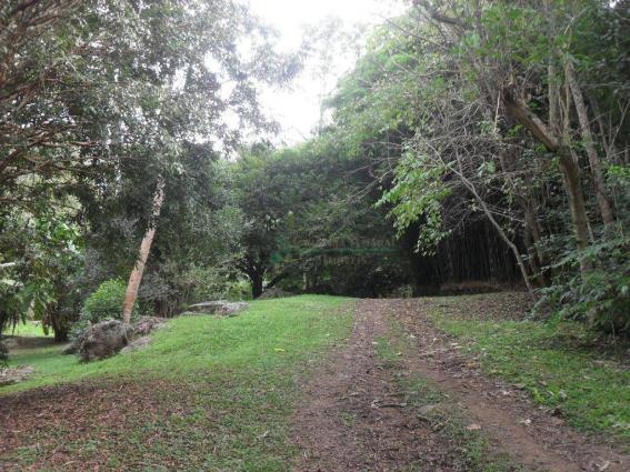 Sitio Teresópolis - Foto 17