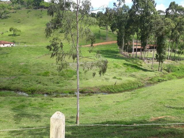 Vendo fazenda em Jiquiriçá ba - Foto 5