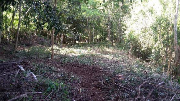Terreno residencial à venda, Três Córregos, Teresópolis. - Foto 6