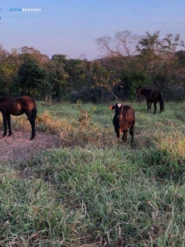 Chácara na região do manso com 2 dormitórios à venda, 680000 m² por R$ 600.000 - Zona Rura - Foto 13