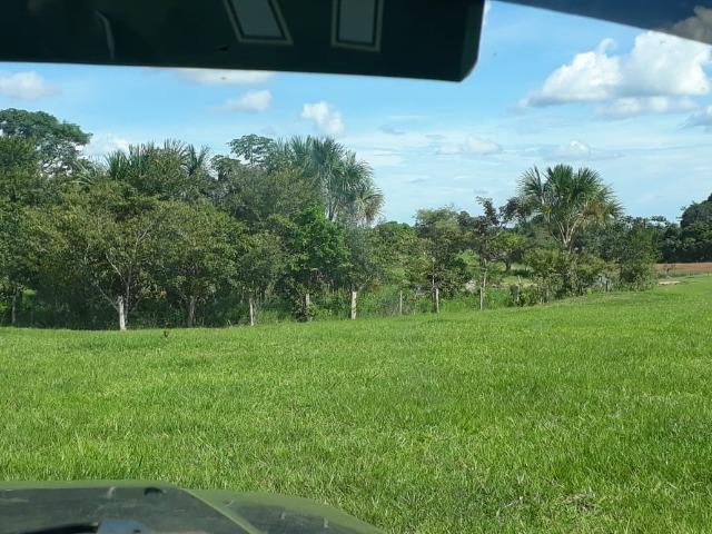 Fazenda Terra de cultura em Arenapolis - Foto 6