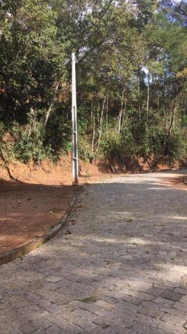 Terreno residencial à venda, Prata, Teresópolis. - Foto 2