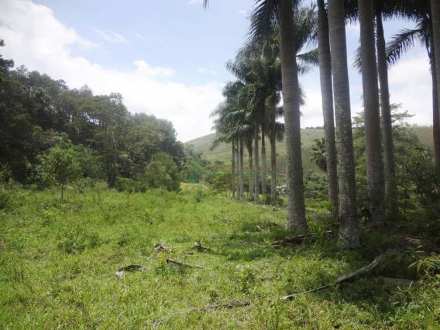 Sitio com 780.000 m² por R$ 1.150.000 - Ponte Nova - Teresópolis/RJ - Foto 7